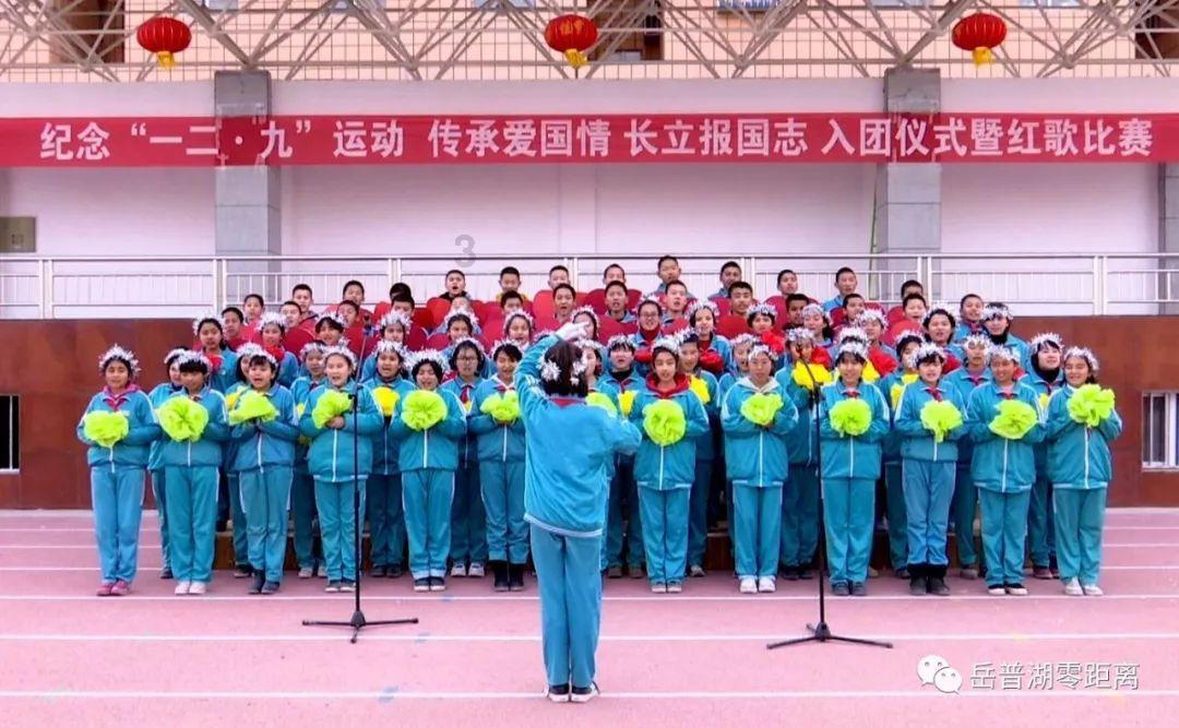 为什么猫的长相都差不多，而狗的外表却千差万别？